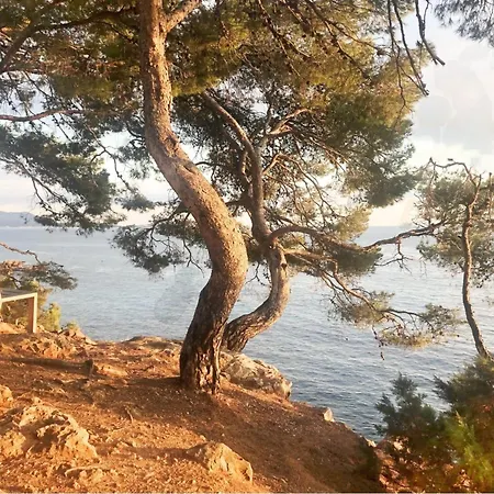Daire In Strandnaehe By Interhome Bandol
